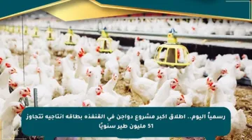 رسمياً اليوم.. إطلاق أكبر مشروع دواجن في القنفذة بطاقة إنتاجية تتجاوز 51 مليون طير سنويًا